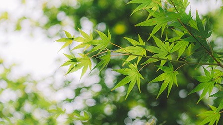 明天，你好